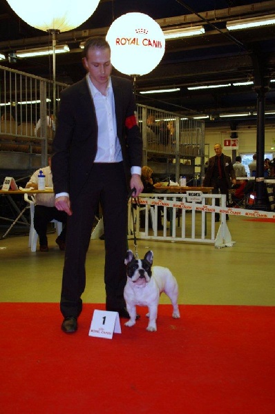 LES EXPOSITIONS
